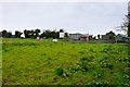 Barns on Lamberts Hill