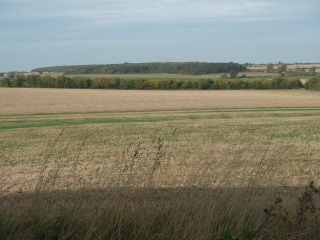 Huntingdonshire Wolds
