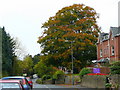 Gloucester Road, Ross-on-Wye 1