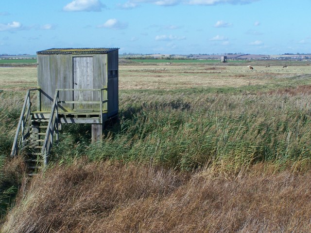 Bird Hide within Swale Nature Reserve