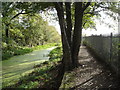 Derby and Sandiacre Canal