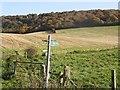 Farmland and woodland in the Chilterns