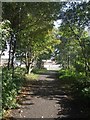 Tipton Green Communication and Toll End Canal