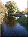 Ripon Canal by Boroughbridge Road