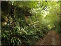 Cottles Lane, West Pennard