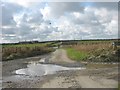 Flooded road east of Pandy