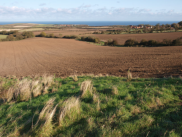 View across farmland near Ellerby