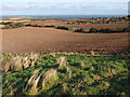 View across farmland near Ellerby