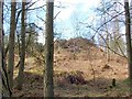 NS8384 : The approach to Tappoch Broch by Lairich Rig