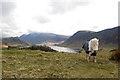 NY1521 : Summit of Lanthwaite Hill by Andy Parkes