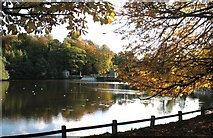 SE2769 : Studley Park Lake by Gordon Hatton