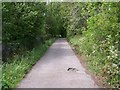 Path from Olive Terrace to Olive Mill, Loxley Valley