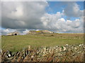 Outbuildings at Bwlan Farm