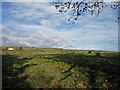 Farmland, Dalry