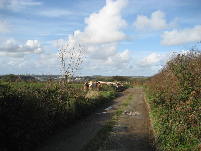 Lane leading to the shore