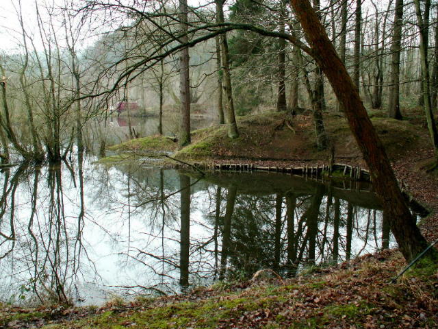 Meadowcliff Pond - Steam Mills Forest of Dean