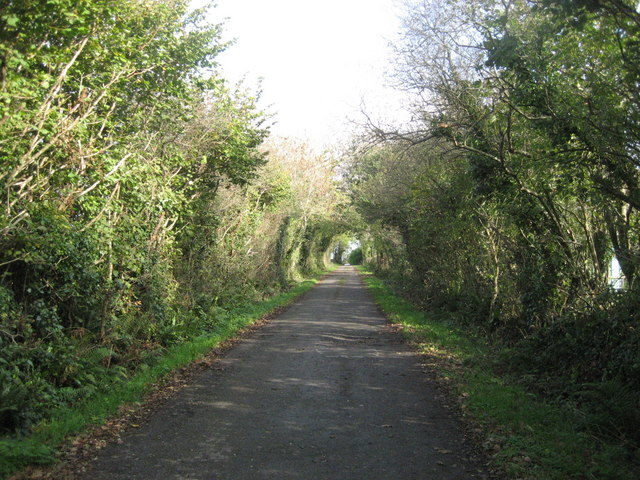 The lane to Mount Pleasant