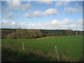 Wooded valley at head of Castle Pill