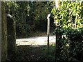 Looking back from footpath to driveway up to Prinsted Cottage