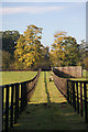 Paddock fencing at West Stow Stud