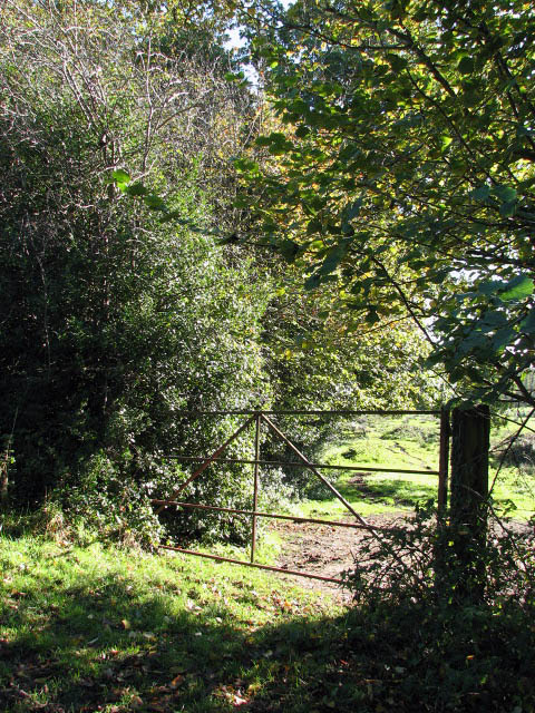 Gate into a cattle pasture