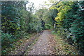 Footpath south of Leigh.