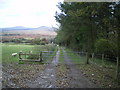 Footpath to Brynberian