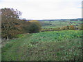 Footpath near Shaws