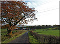 Baillieston Farm