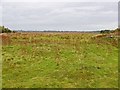 Airfield Runway, Prees Heath