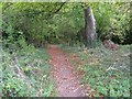 Footpath, Trarrant Gunville