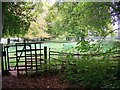 Kissing gate, Tarrant Gunville