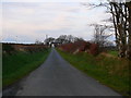 Lon bach ger Talgarreg / Small  lane near Talgarreg