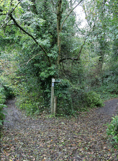 Signpost at Junction to Lapthorne
