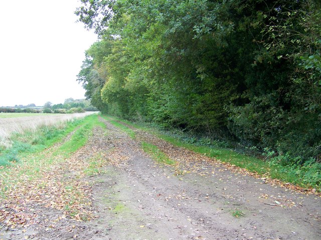 Bridleway near Chettle