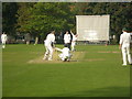 Cricket on Datchworth Green