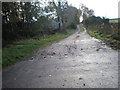 Start of Track to Drummore of Cantray