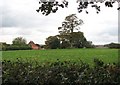 Pasture adjoining Manor Farm