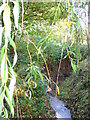 Stream on Merrow Lane