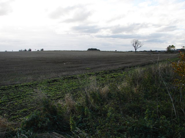 Field to North of Lookout