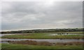 Flooded shores of Malltraeth Pool