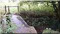 Footbridge over Oakhanger Stream