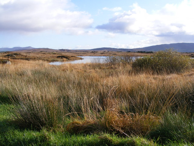 Lough Leahan from minor road, Tullycleave More Townland