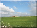 View across improved grassland towards Grug-fawr Farm