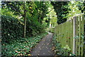 A rural path in the town centre