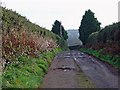 Track to Fron Wilym, Llanarth