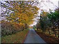 Lane near Pen-bryn, Blaenpennal