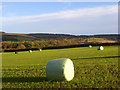 Silage bales, Winchcombe