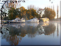 Boats moored on the Thames near Hurley