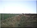 Bridleway up onto the hill